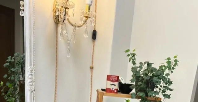 Kristāla sienas lampa, balts spoguļa rāmis un telpaugs salonā